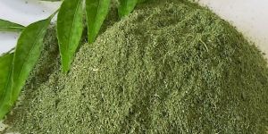Curry Leaf Powder