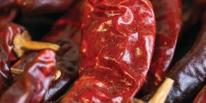 Kashmiri Dry Red Chilli