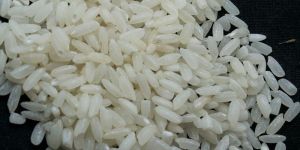 Short Grain Non Basmati Rice