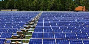 Solar Panel Survey Service