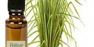 Vetiver Candle Fragrance Oil