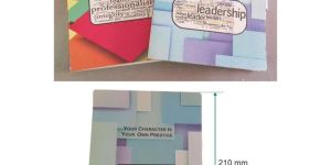 D-03 Leadership Theme Diary