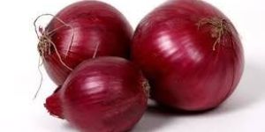 Fresh Premium Quality Red Onion