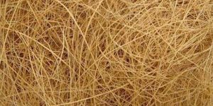 Coir Fiber
