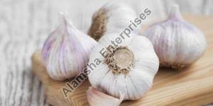 Garlic