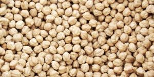 White Chick Peas Chana