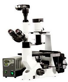 Trinocular Tissue Culture Fluroscence Microscopes