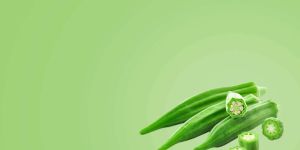 Fresh Okra