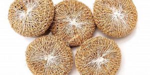 natural vetiver body scrubber