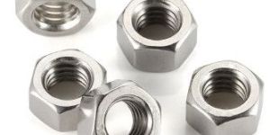 Stainless Steel Nuts