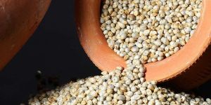 Tusker Berry Millet