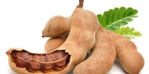 Tamarind