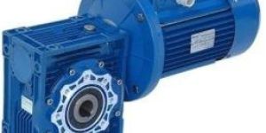 Worm Gear Motor
