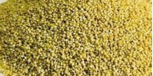 Unpolished Browntop Millet