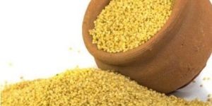 Unpolished Foxtail Millet