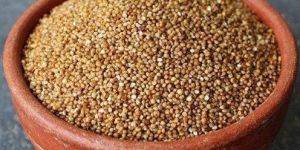 Unpolished Kodo Millet