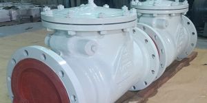 Swing Check Valve