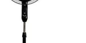 Pedestal Fan