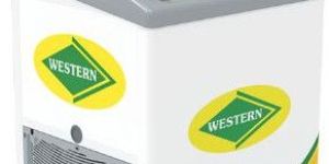 Nwhf225gcl Curved Top Deep Freezer