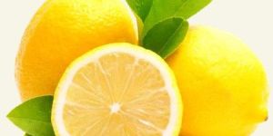 Fresh Lemon