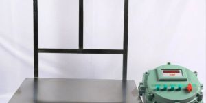 Electronic Flameproof Weighing Balance