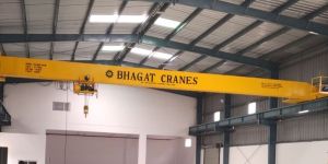 Box Type Single Girder Cranes