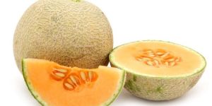 Fresh Muskmelon