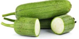 Fresh Sponge Gourd