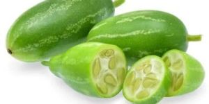 Fresh Tindli Ivy Gourd
