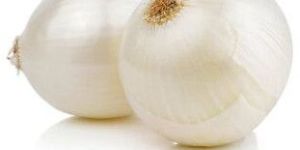 Fresh White Onion