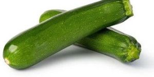 Green Zucchini