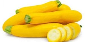 Yellow Zucchini