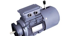 Geared Brake Motor