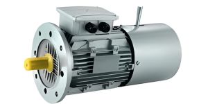 Industrial Brake Motor