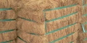 Coir Peat Bales