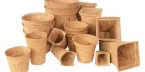 Hanging Coco Fiber Pot