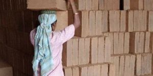 Low Ec Coir Pith Blocks