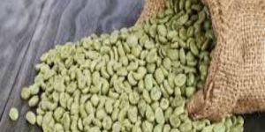 Green Arabica Coffee Beans