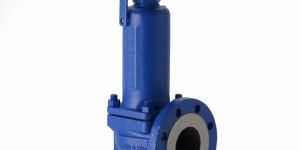 Stainless Steel Safety Valve