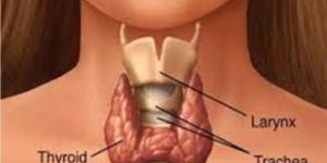 Sarcoma Cancer Treatment Service