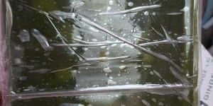 Kaccha Mango Fruit Bar