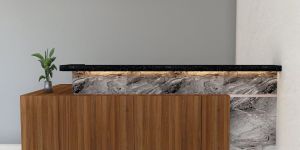 Reception Furniture Designing Service