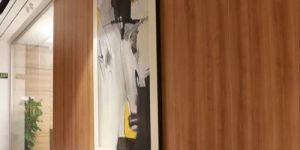 Wooden Wall Paneling Service