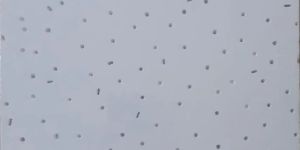 Mineral Fiber Ceiling Tiles