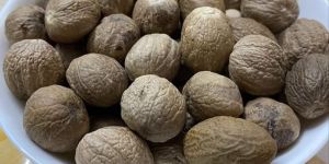 Natural Tiger Nutmeg