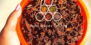 Normal Star Anise