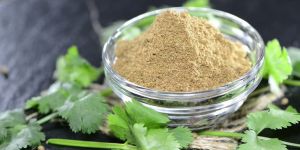 Organic Coriander Powder