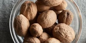 Premium Shell Jumbo Nutmeg