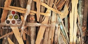 Premium Split Cassia