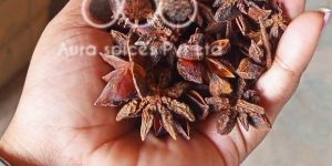 Premium Star Anise